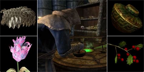 Skyrim: Amazing Potion Recipes With Multiple Effects