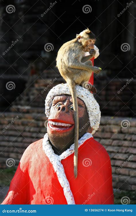 Monkey Buffet Festival in Lopburi, Thailand Stock Photo - Image of ...