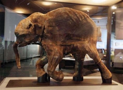 Woolly mammoth | extinct mammal | Britannica