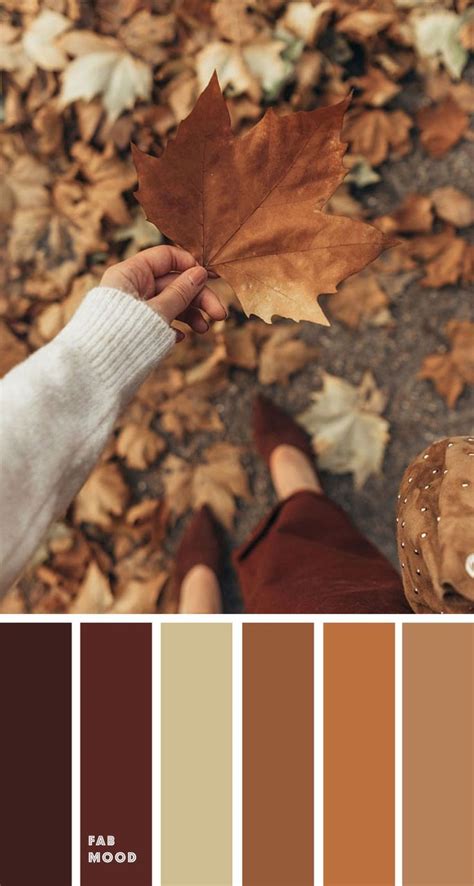 Brown autumn leaf color { Autumn Color Inspiration } #color #fall # ...