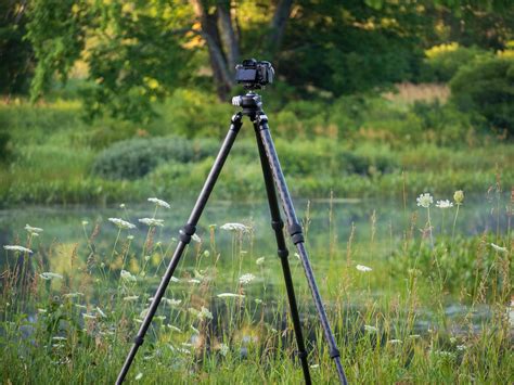 The Beginner's Guide to Tripods | PetaPixel