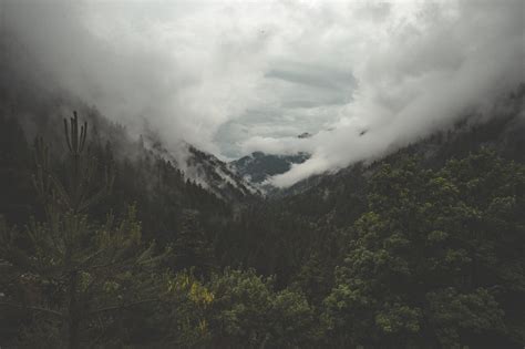 Fog Mountain Forest Royalty-Free Stock Photo