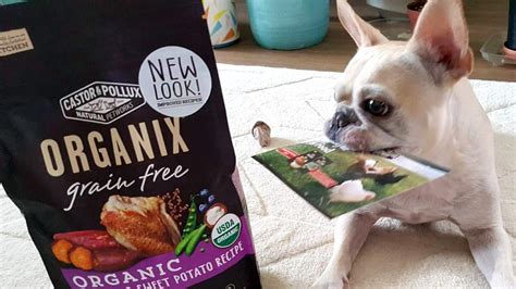 Benefits of Organic Pet Food | BeChewy