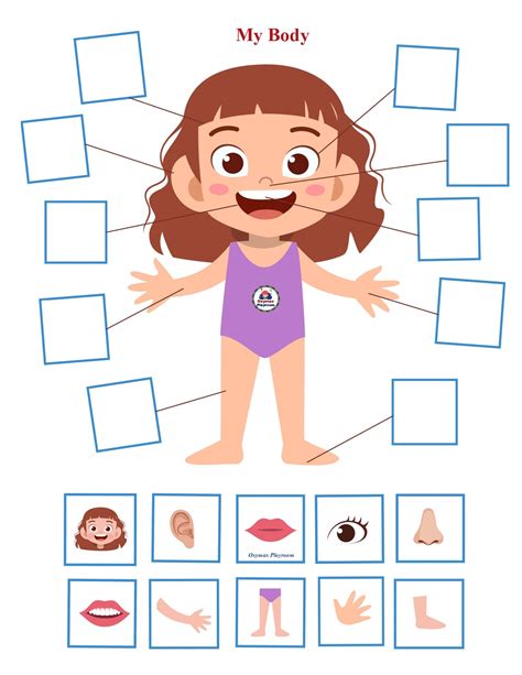 My Body Worksheets For Kids | Images and Photos finder