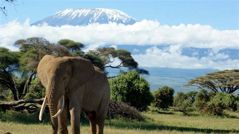 Mountain Kilimanjaro Photos