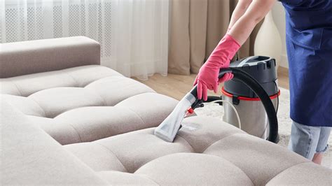 Why You Should Hire Professional Upholstery Cleaning Services ...