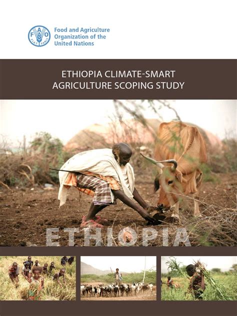 Ethiopia | PDF | Agriculture | Climate Change Mitigation