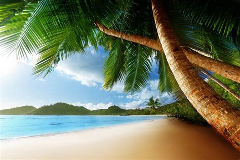 Free Caribbean Beach Wallpapers - Wallpaper Cave