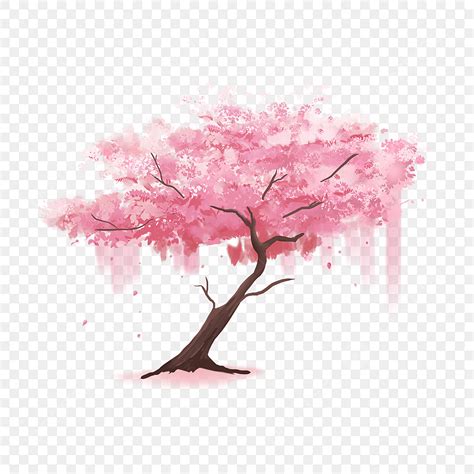 Sakura Petals Falling PNG Transparent, Sakura Tree Water Color Petals ...