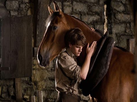 Hollywood Wallpapers: War Horse Movie Wallpapers