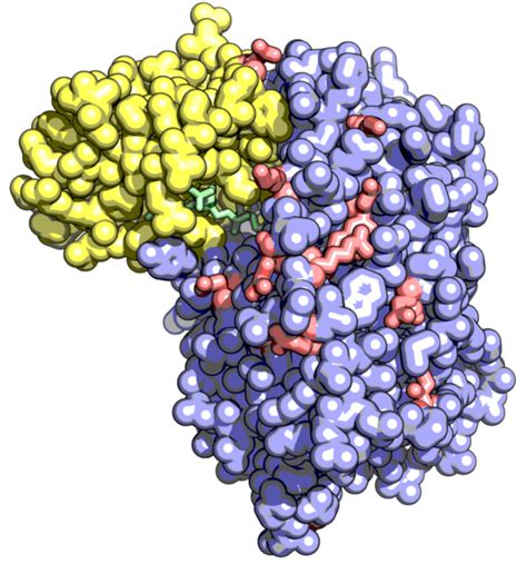 Tailored enzymes open new possibilities for improving the smell of fish ...