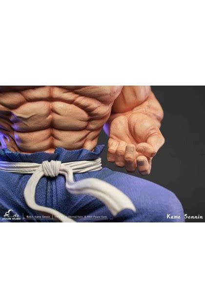 Clouds Studio Dragon Ball Z Master Roshi Max Power | Mirai Collectibles