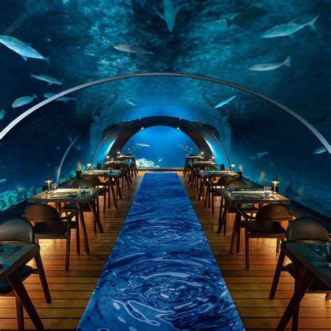 6 Underwater Restaurants to Visit in the Maldives in 2021