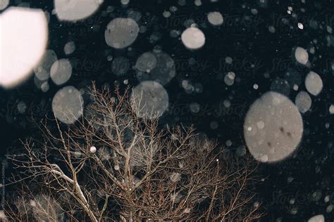 "Snow Falling At Night" by Stocksy Contributor "Chelsea Victoria" - Stocksy