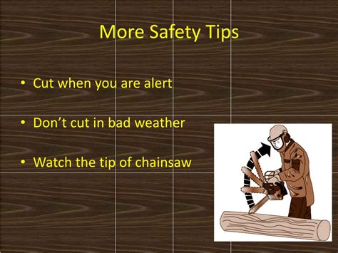 PPT - Stihl Chainsaw Safety Day Chad Barclay cab400@psu PowerPoint ...