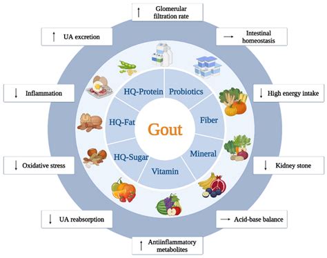 Gout and Diet: A Comprehensive Review of Mechanisms and Management