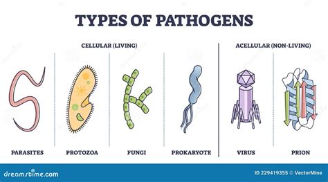 6 Types Of Pathogens