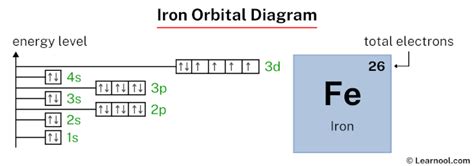 Iron orbital diagram - Learnool