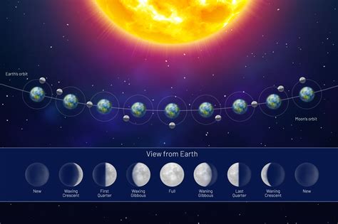 What Causes Moon Phases All 8 Moon Phases Explained | Images and Photos ...