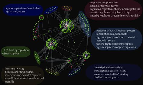 The genes regulated by the six regulators and their gene modules in the ...