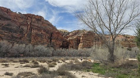 Escalante River Trail area