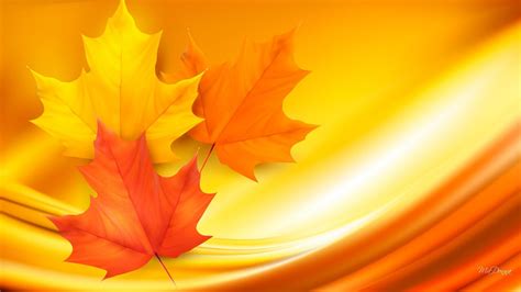 Autumn Maple Leaves Wallpapers - Wallpaper Cave