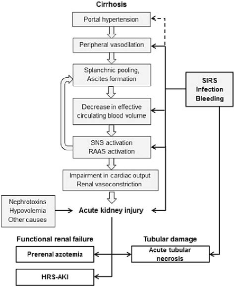 Acute Kidney Injury In Patients With Cirrhosis, 58% OFF