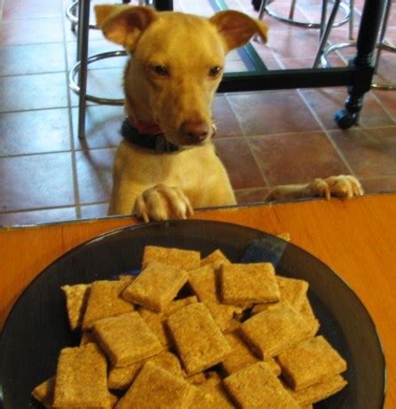 Crunchy Peanut Butter Dog Cookies Recipe - Food.com