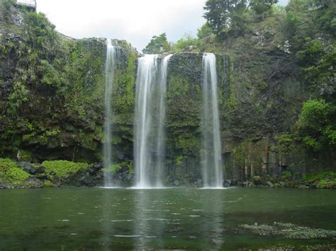 Whangarei Falls - Waterfall in a Suburban Park in Whangarei