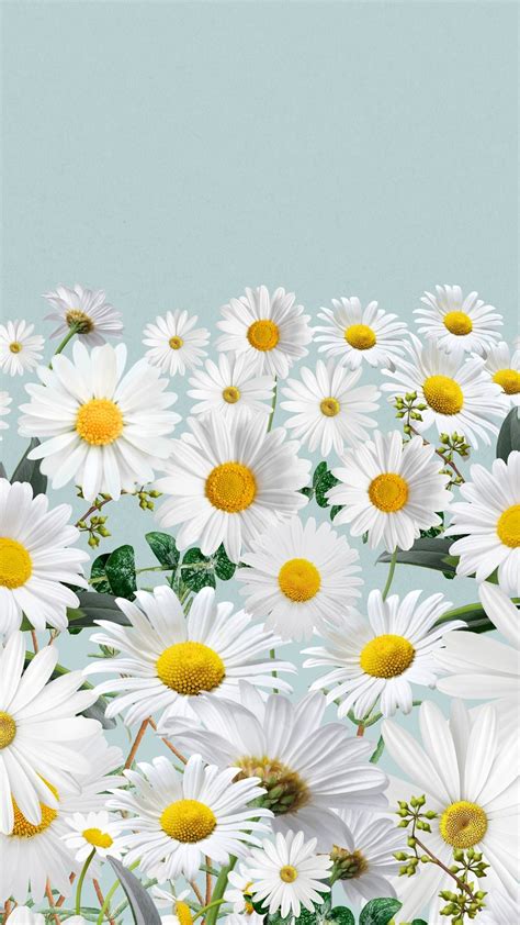 Daisy flower border iPhone wallpaper, | Premium Photo - rawpixel