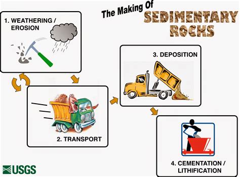 Making Sedimentary Rocks In The Classroom