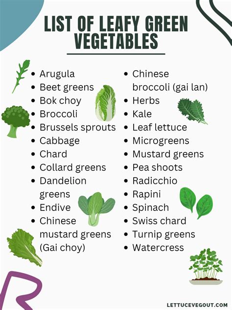 Leafy Green Vegetables List