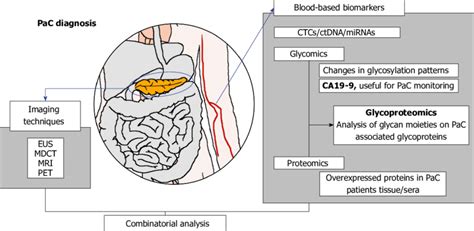 Overview of pancreatic cancer diagnosis methods: imaging techiques and ...