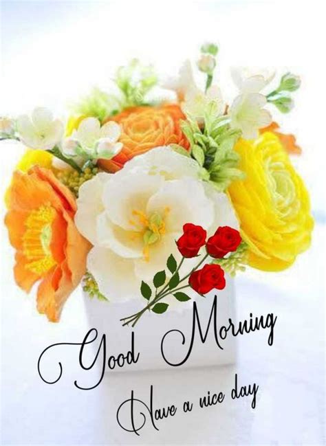 Good Morning In Images Shapes And Colors Of Flowers In Wallpapers ...