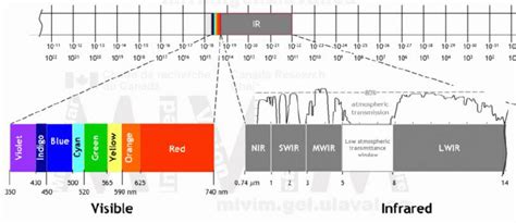 Infrared Spectrum