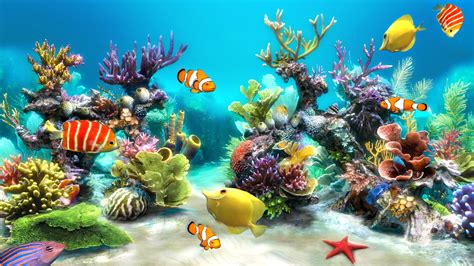 🔥 [50+] Live Fish Wallpapers for Windows | WallpaperSafari