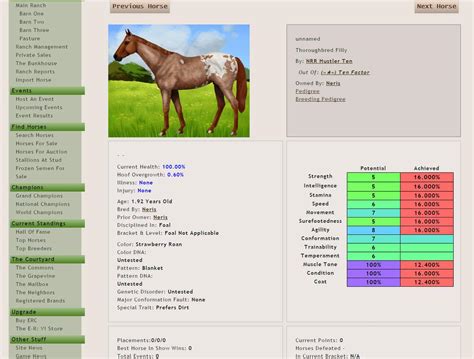 Horse Breeding Games - Play Horse Games - Free Online Horse Games ...