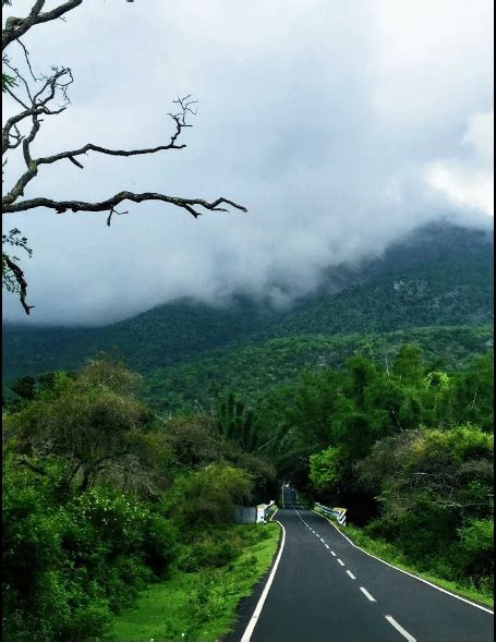 The Queen of Hill Station - Ooty. 2 Nights 3 Days Trip