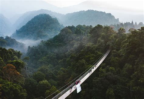 Tempat Healing di Situ Gunung Sukabumi dan Destinasi Alam Sekitarnya!