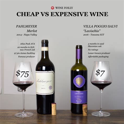 Cheap vs Expensive Wine Taste Test ($7 vs $75) | Wine Folly