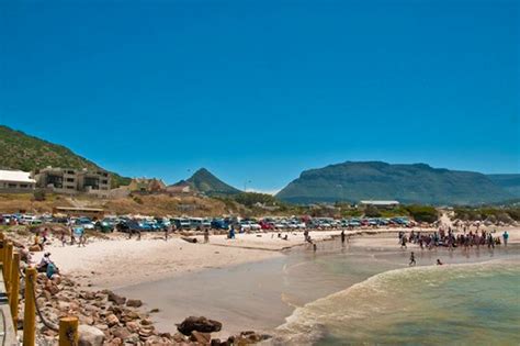 About Hout Bay Beach in Hout Bay