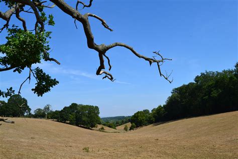 Kent walks near London – A hopefully useful guide to walks within reach ...