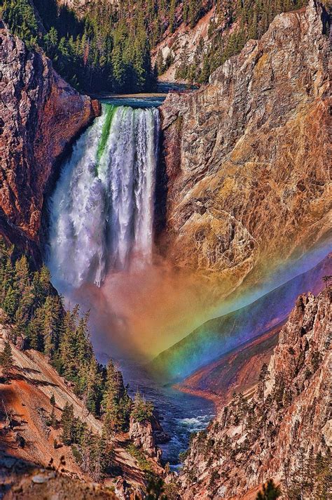 √ Wyoming National Parks Yellowstone