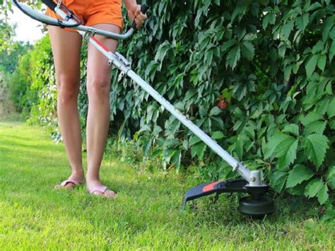 Top 7 Best Corded Electric String Trimmers: Rated And Reviews In 2019 ...