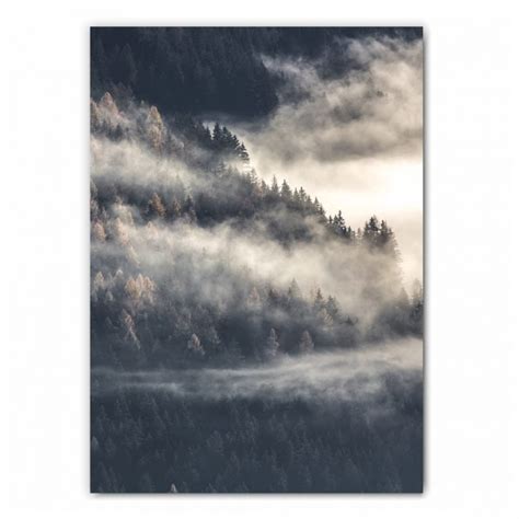 Misty Forest Photography Print - Free UK Delivery | Saffa Designs