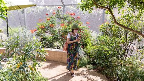 Butterfly Pavilion at the Natural History Museum | Things to do in Los ...