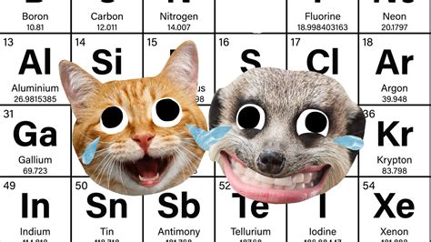 20 Periodic Table Jokes That Generate a Great Reaction! | Beano.com