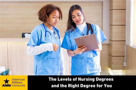 The Levels of Nursing Degrees and the Right Degree for You | American ...