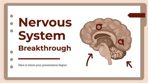 Nervous System Breakthrough | Google Slides & PPT