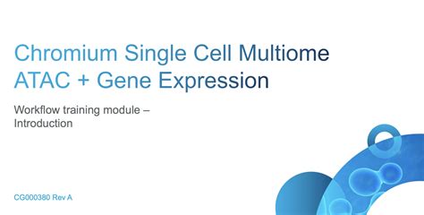 Single Cell Multiome ATAC + Gene Expression - Official 10x Genomics Support